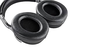 デノン Denon AH-GC30 DENON AH-GC30 Cuffie wireless, Nero : Amazon.it: Elettronica